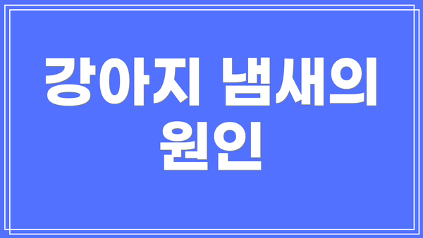 강아지 냄새의 원인