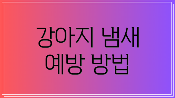 강아지 냄새 예방 방법