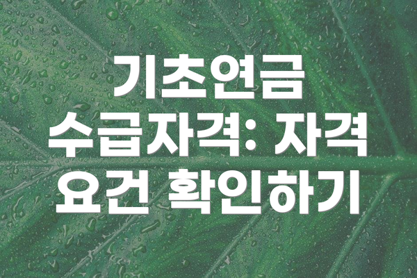 기초연금 수급자격: 자격 요건 확인하기
