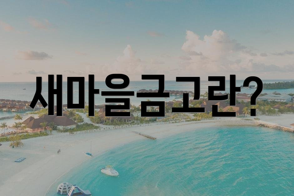 새마을금고란?