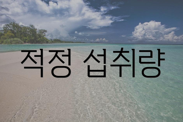 적정 섭취량