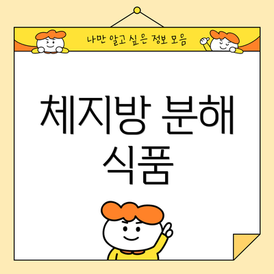 체지방 분해 식품