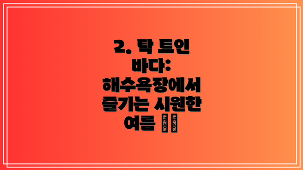 2. 탁 트인 바다: 해수욕장에서 즐기는 시원한 여름 🏖️