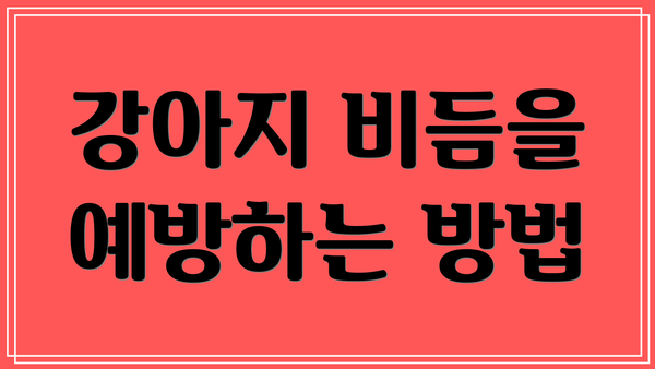 강아지 비듬을 예방하는 방법