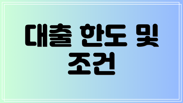 대출 한도 및 조건