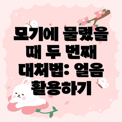 모기에 물렸을 때 두 번째 대처법: 얼음 활용하기
