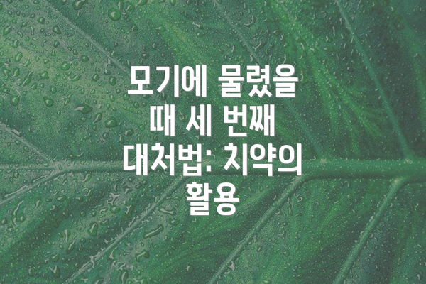 모기에 물렸을 때 세 번째 대처법: 치약의 활용