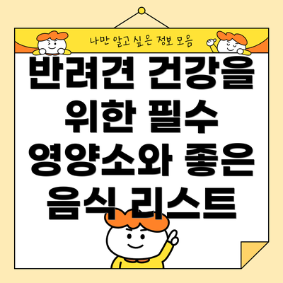 반려견 건강을 위한 필수 영양소와 좋은 음식 리스트