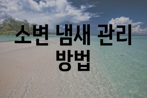 소변 냄새 관리 방법