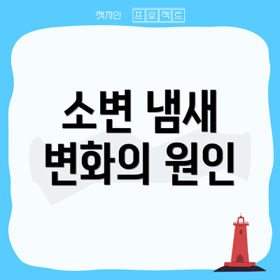 소변 냄새 변화의 원인