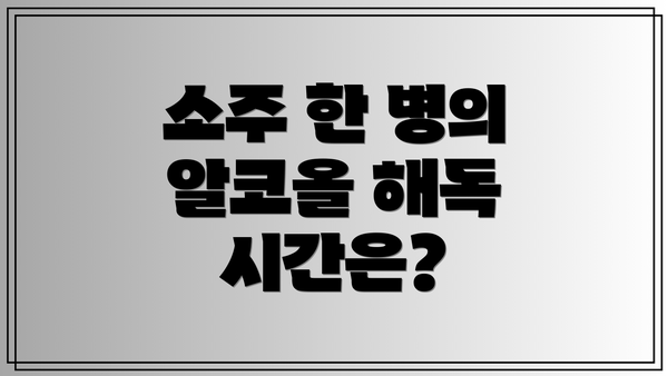 소주 한 병의 알코올 해독 시간은?