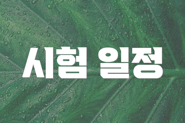 시험 일정