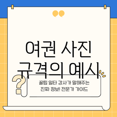 여권 사진 규격의 예시