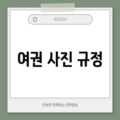 여권 사진 규정