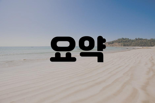 요약