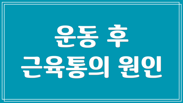 운동 후 근육통의 원인