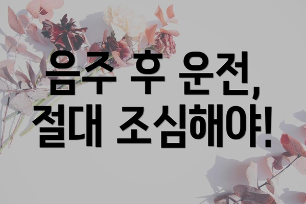 음주 후 운전, 절대 조심해야!