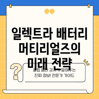 일렉트라 배터리 머티리얼즈의 미래 전략
