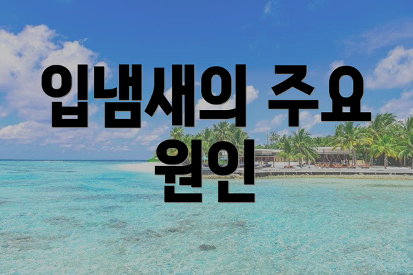 입냄새의 주요 원인