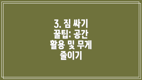 3. 짐 싸기 꿀팁: 공간 활용 및 무게 줄이기
