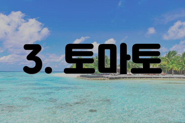 3. 토마토