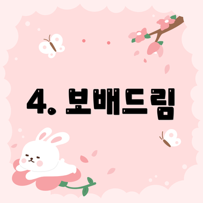 4. 보배드림