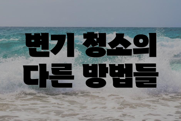 변기 청소의 다른 방법들