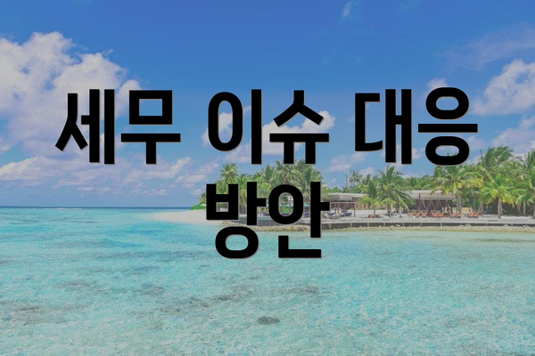 세무 이슈 대응 방안