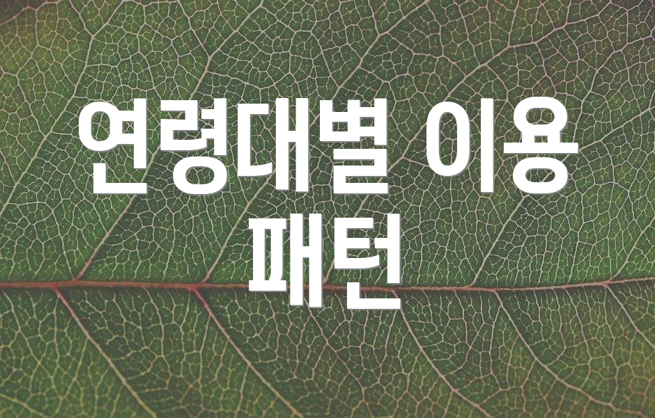 연령대별 이용 패턴