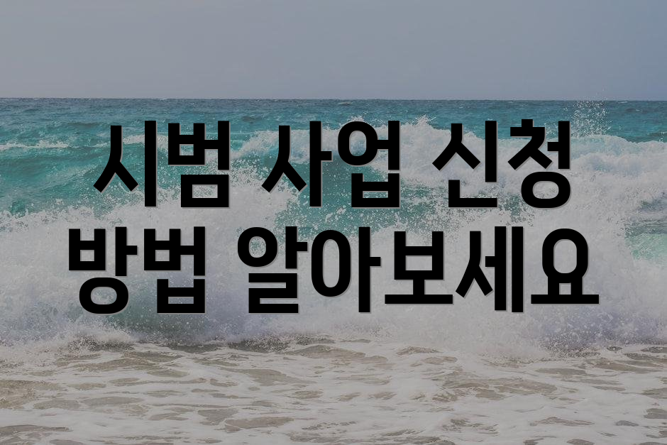 시범 사업 신청 방법 알아보세요