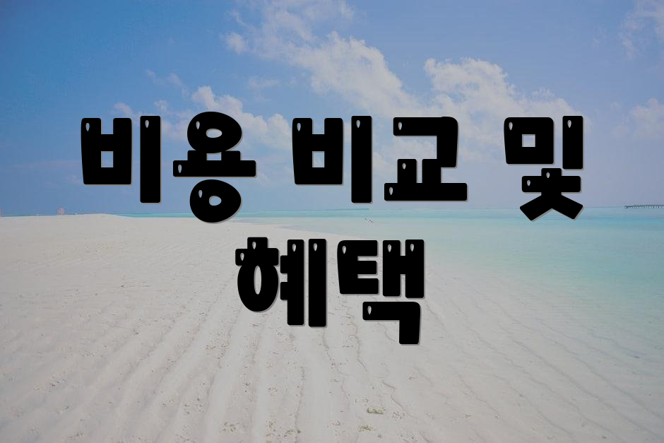 비용 비교 및 혜택
