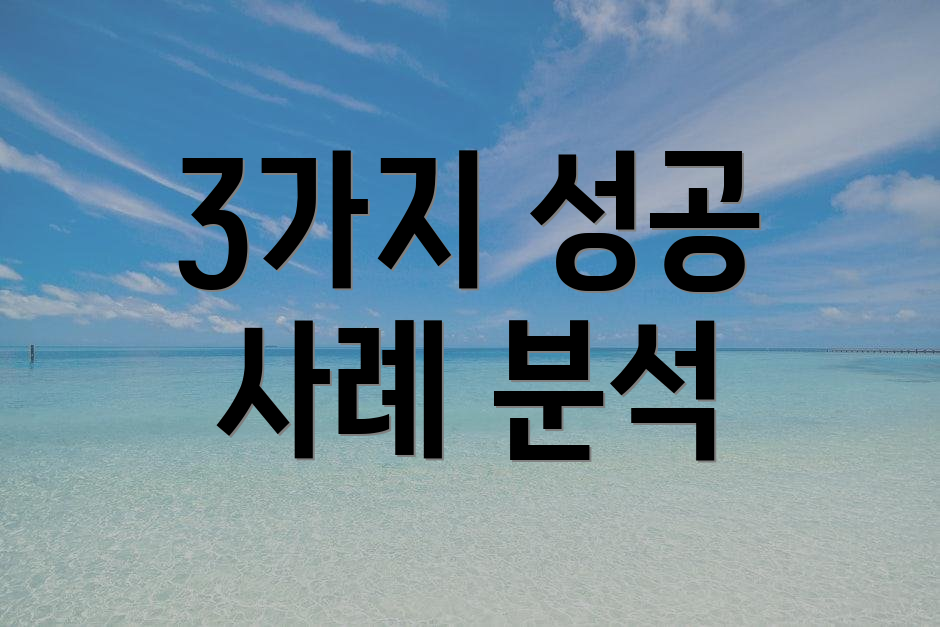 3가지 성공 사례 분석