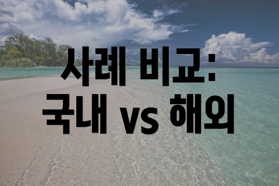 사례 비교: 국내 vs 해외