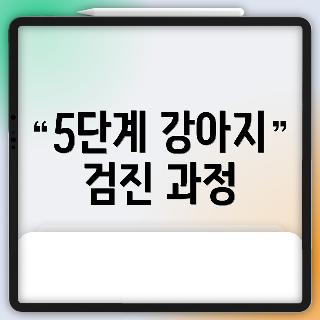 5단계 강아지 검진 과정
