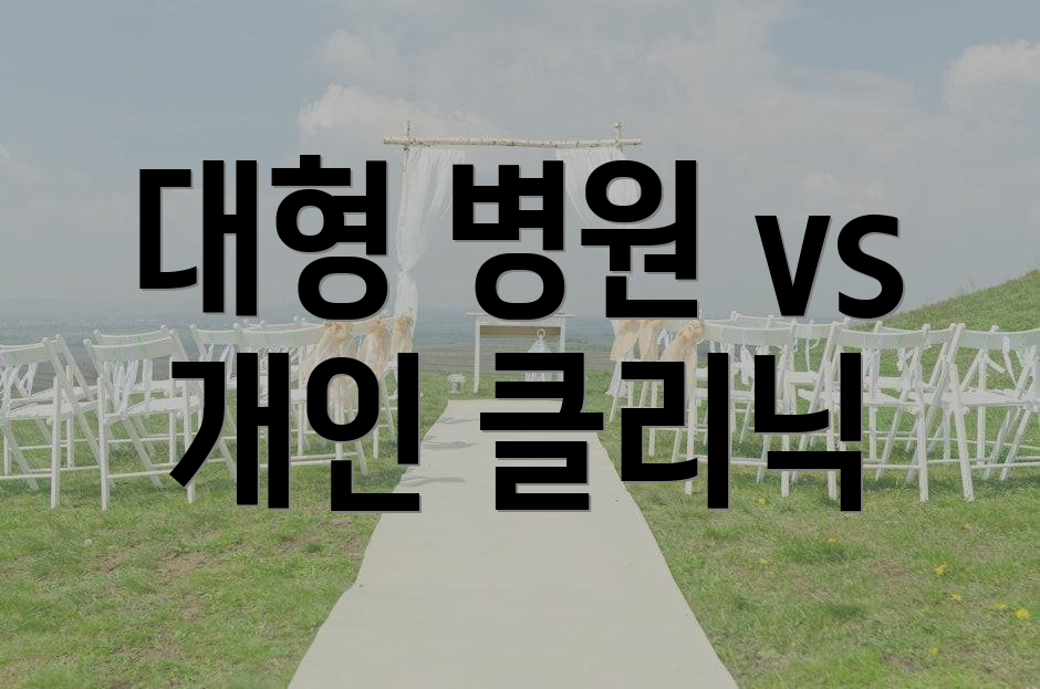 대형 병원 vs 개인 클리닉