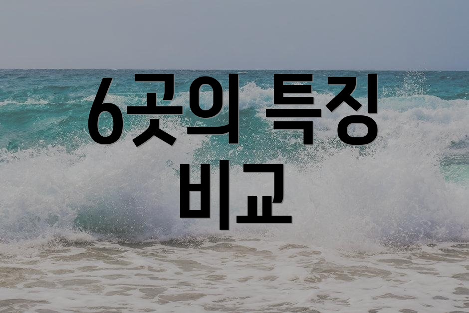 6곳의 특징 비교