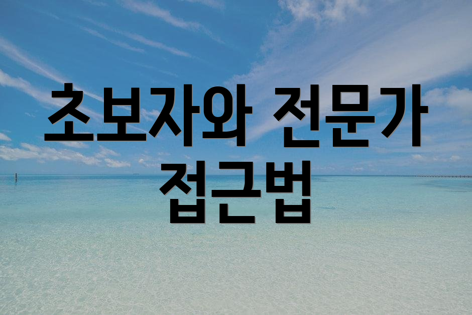 초보자와 전문가 접근법