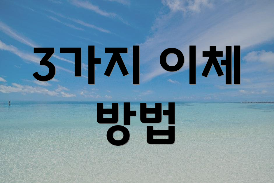 3가지 이체 방법