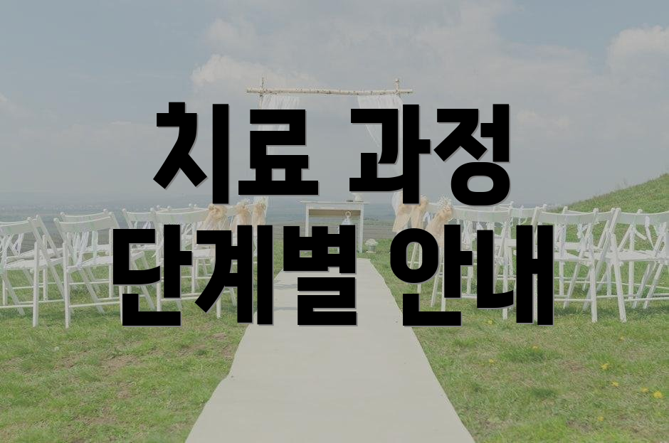치료 과정 단계별 안내