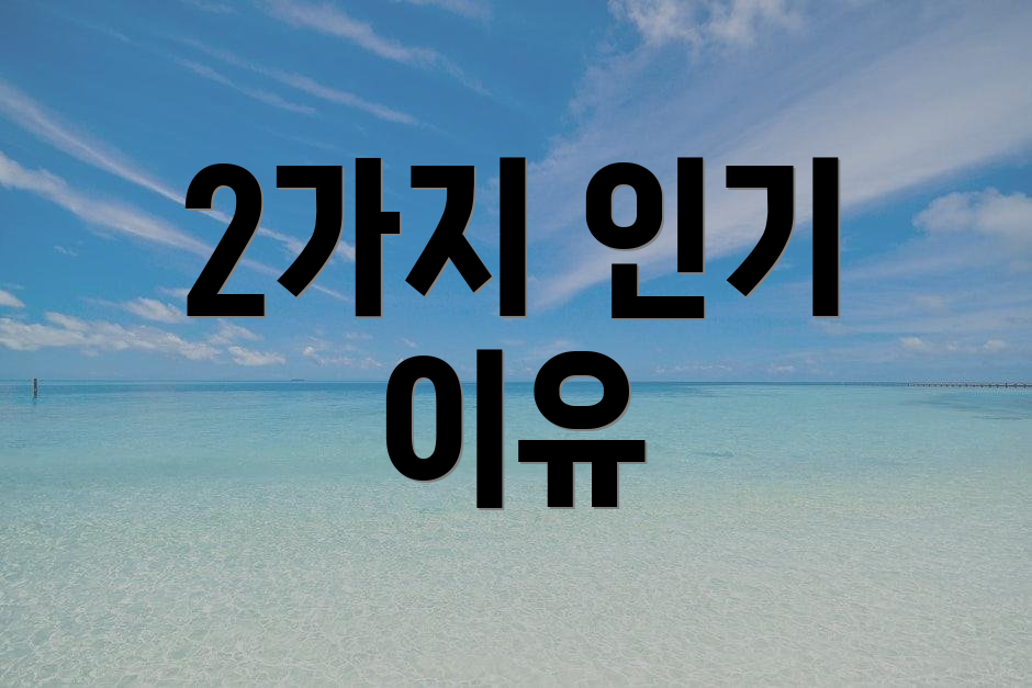 2가지 인기 이유