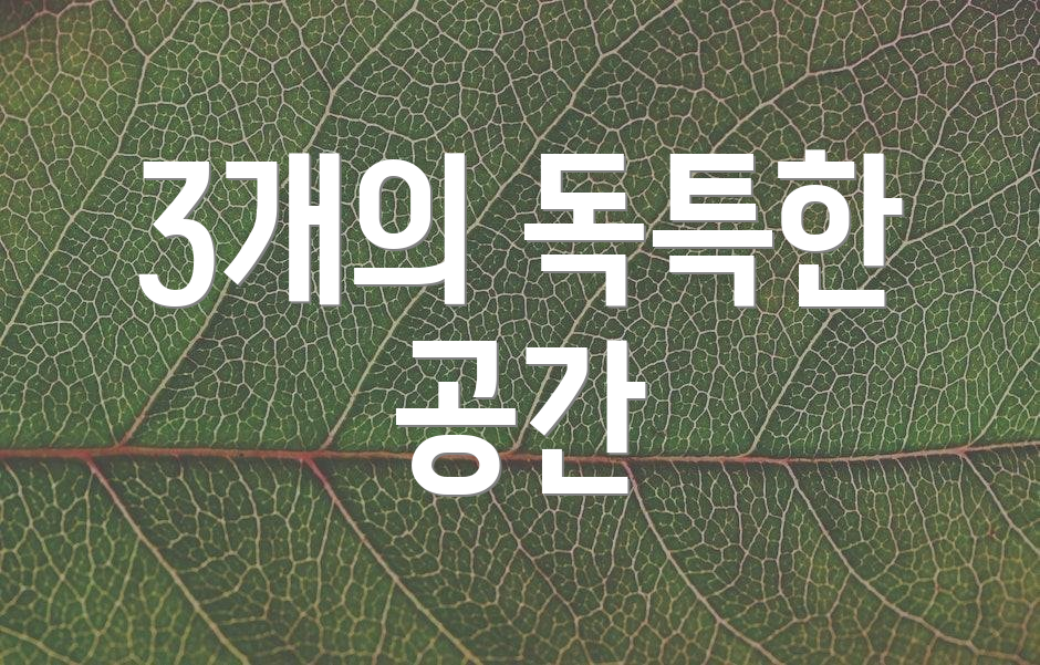 3개의 독특한 공간