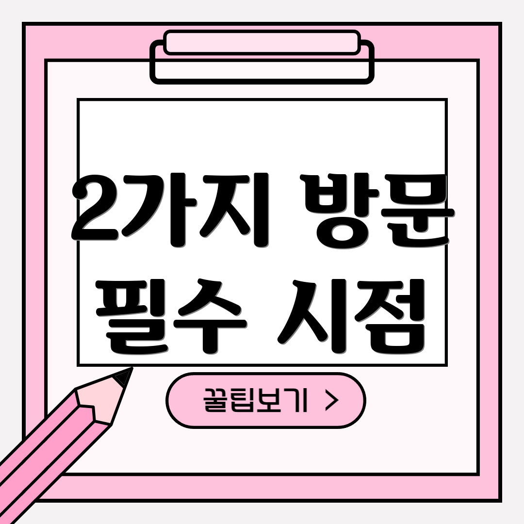 2가지 방문 필수 시점
