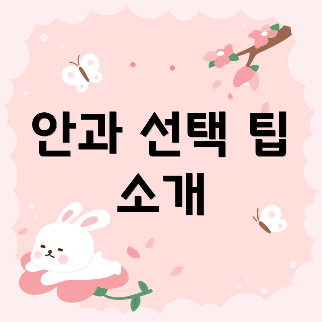 안과 선택 팁 소개