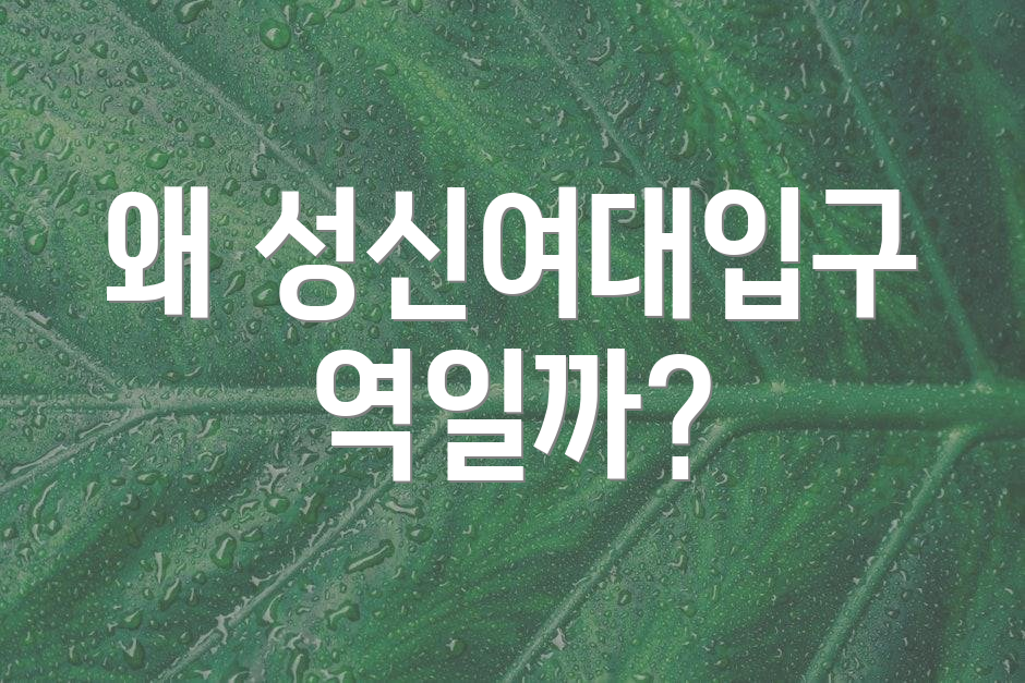 왜 성신여대입구역일까?