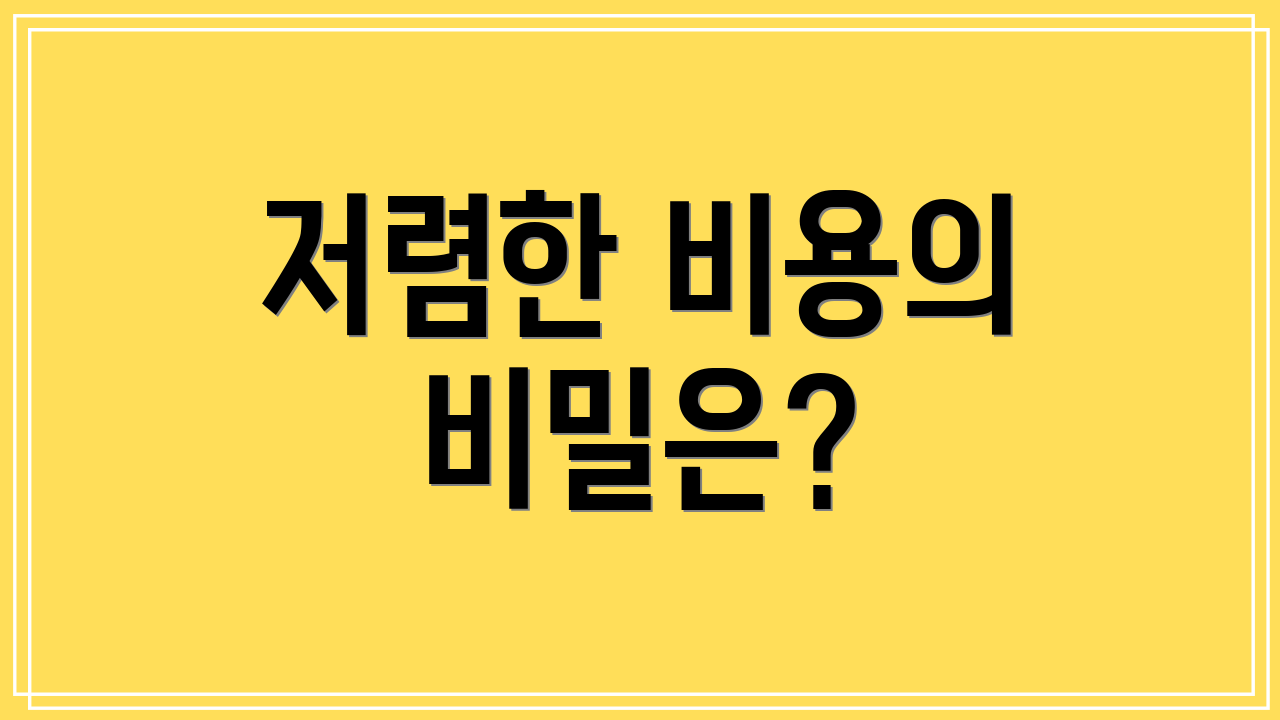 저렴한 비용의 비밀은?