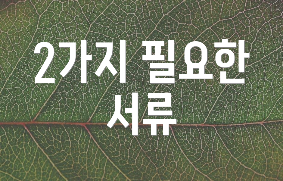 2가지 필요한 서류
