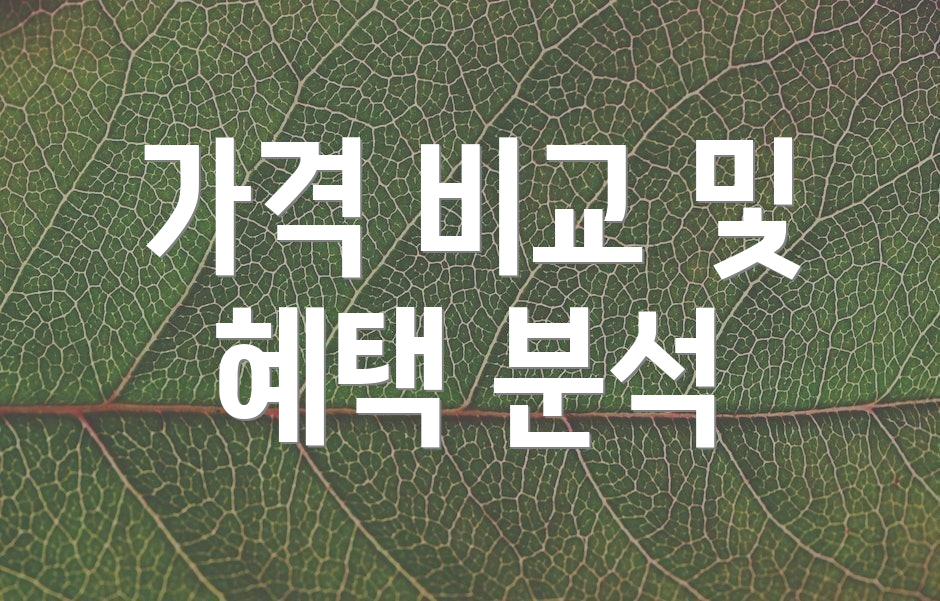 가격 비교 및 혜택 분석