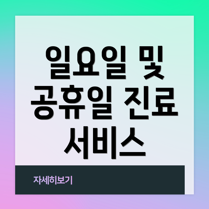 일요일 및 공휴일 진료 서비스