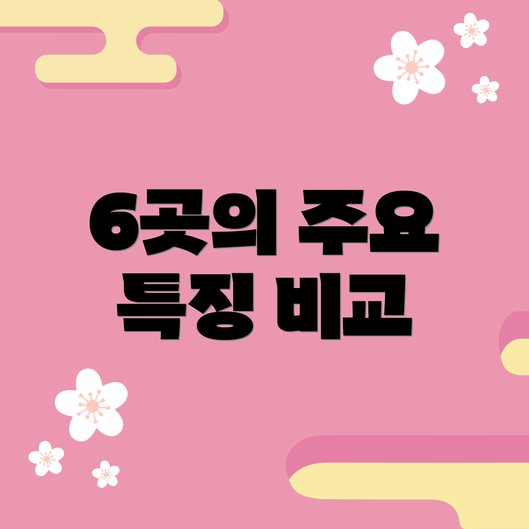 6곳의 주요 특징 비교