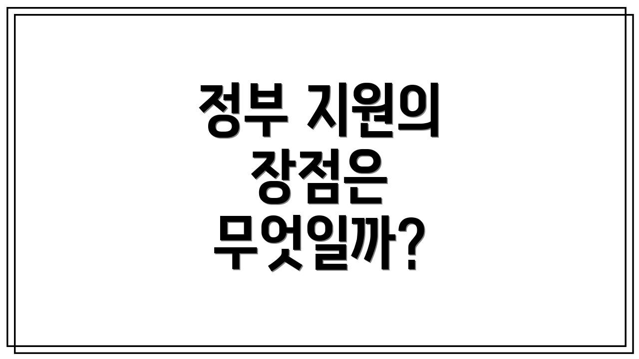 정부 지원의 장점은 무엇일까?